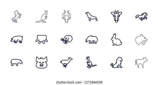 Mammal icon. collection of 18 mammal outline icons such as udder, giraffe, lion, rabbit, pig, bear, antelope, cangaroo, horse. editable mammal icons for web and mobile.