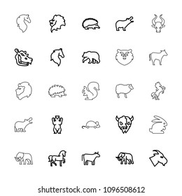 Mammal Icon Collection 16 Mammal Outline Stock Vector (Royalty Free ...