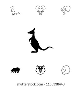 Mammal icon. collection of 7 mammal filled and outline icons such as bear, kangaroo, pig, lion. editable mammal icons for web and mobile.
