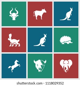 Mammal icon. collection of 9 mammal filled icons such as goat, kangaroo, elephant, horse, cow, hedgehog, bull. editable mammal icons for web and mobile.