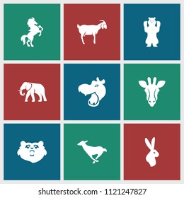 Mammal icon. collection of 9 mammal filled icons such as bear, giraffe, hippopotamus, elephant, goat, horse, antelope. editable mammal icons for web and mobile.