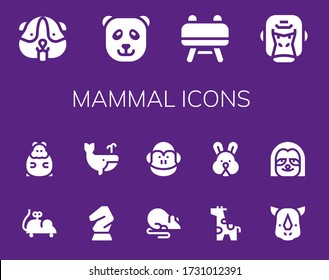 mammal icon set. 14 filled mammal icons.  Simple modern icons such as: Hamster, Panda bear, Buck, Gorilla, Mouse toy, Horse, Whale, Rat, Monkey, Giraffe, Rabbit, Rhino, Sloth