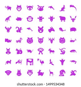 mammal icons. Editable 49 mammal icons. Included icons such as Squirrel, Horse, Giraffe, Rabbit, Siberian Husky, Hippopotamus, Baboon, Platypus, Bat. mammal trendy icons for web.