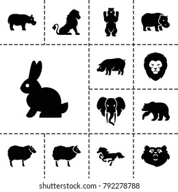 Mammal icons. set of 13 editable filled mammal icons such as bear, lion, sheep, pig, rabbit, horse, hippopotamus