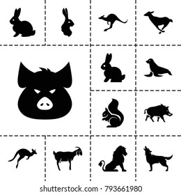 Mammal icons. set of 13 editable filled mammal icons such as lion, rabbit, pig, squirrel, kangaroo, wolf, goat, hog, antelope