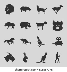 Mammal icons set. set of 16 mammal filled icons such as hog, lion, pig, mouse, goat, antelope, kangaroo, horse, wolf, hippopotamus, rabbit, mouse toy