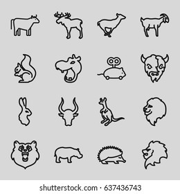 Mammal icons set. set of 16 mammal outline icons such as bear, moose, hippopotamus, lion, hedgehog, antelope, cangaroo, squirrel, bull, goat, rabbit, cow