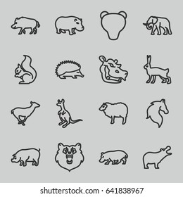 Mammal icons set. set of 16 mammal outline icons such as bear, hog, hippopotamus, hedgehog, elephant, horse, sheep, antelope, cangaroo, pig, squirrel