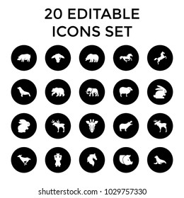 Mammal icons. set of 20 editable filled mammal icons such as rabbit, giraffe, moose, bear, hippopotamus, horse, sheep, pig, seal. best quality mammal elements in trendy style.