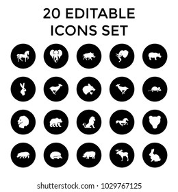 Mammal icons. set of 20 editable filled mammal icons such as lion, moose, rabbit, horse, hedgehog, antelope, pig, hippopotamus. best quality mammal elements in trendy style.