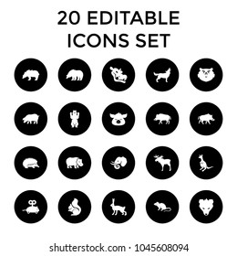 Mammal icons. set of 20 editable filled mammal icons such as hog, moose, bear, hedgehog, mouse, kangaroo, squirrel, rabbit. best quality mammal elements in trendy style.
