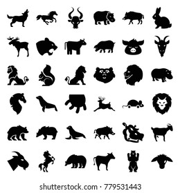 Mammal icons. set of 36 editable filled mammal icons such as cow, bear, lion, hog, moose, rabbit, panther, goat, squirrel, deer, horse, hippopotamus, seal, udder, pig, bull