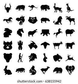 Mammal Icons Set Set 36 Mammal Stock Vector (Royalty Free) 648307795 ...