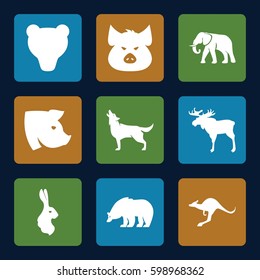 mammal icons set. Set of 9 mammal filled icons such as moose, pig, bear, elephant, kangaroo, wolf