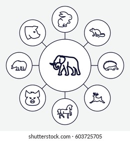 Mammal icons set. set of 9 mammal outline icons such as pig, bear, horse, hedgehog, mouse, elephant, deer