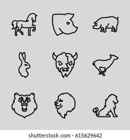 Mammal icons set. set of 9 mammal outline icons such as bear, lion, horse, antelope, pig, goat