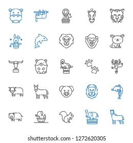 mammal icons set. Collection of mammal with horse, elephant, squirrel, pig, dolphin, lion, donkey, ox, monkey, pawprints, walrus, hamster. Editable and scalable mammal icons.