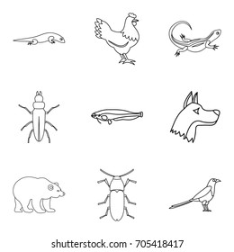 Mammal icons set. Outline set of 9 mammal vector icons for web isolated on white background