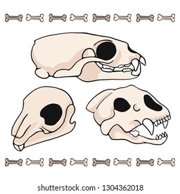 mammal skull cartoon vector illustration motif set