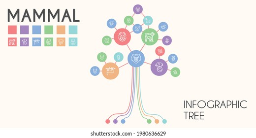 mammal vector infographic tree. line icon style. mammal related icons such as german, gorilla, hamster, cow, sloth, lion, horse, walrus, camel, giraffe, rabbit, teddy bear