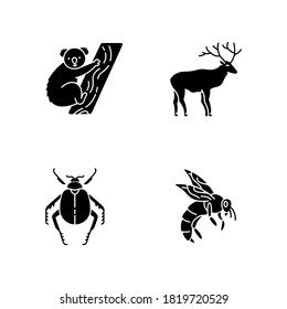 Mammals and insects black glyph icons set on white space. Tropical koala, forest deer, scarab beetle and honeybee silhouette symbols. Exotic and ordinary animals. Vector isolated illustrations