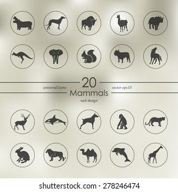 mammals modern icons for mobile interface on blurred background