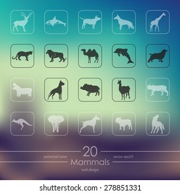 mammals modern icons for mobile interface on blurred background