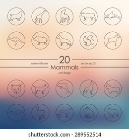 mammals modern icons for mobile interface on blurred background