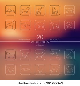 mammals modern icons for mobile interface on blurred background