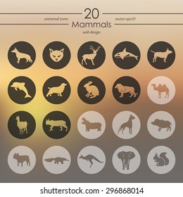 mammals modern icons for mobile interface on blurred background