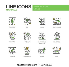 Mammals - set of modern vector line design icons and pictograms of animals. Bat, lemur, slow loris, tamarin, macaque, hamadryas baboon, mandrill, gibbon, chimpanzee, wolf fox