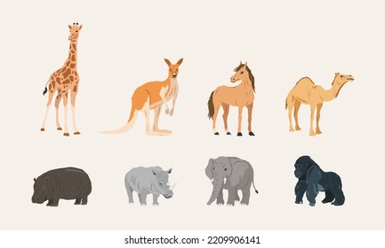 Mammals vector illustration in flat style