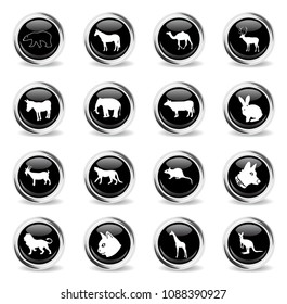 mammals web icons - black round chrome buttons