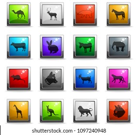 mammals web icons in square colored buttons for user interface design