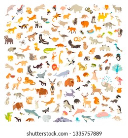 Mammals of the world. Animals and birds cartoon style, mammals icon. Animals vector. Extra big animals set. Vector illustration, isolated on a white background