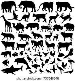 mammals,vector illustration