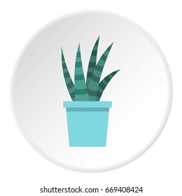 Mammillaria bocasana in bloom icon in flat circle isolated on white vector illustration for web