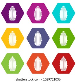 Mammillaria bocasana icon set many color hexahedron isolated on white vector illustration