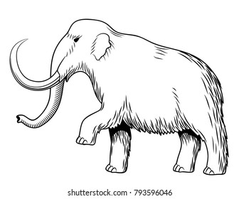 1,888 Mammoth line Images, Stock Photos & Vectors | Shutterstock