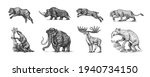 Mammoth or extinct elephant, Woolly rhinoceros Cave bear lion. Panthera Saber toothed tiger, Irish elk or deer, Ground sloth, Megatheriidae. Vintage animal. Retro Mammals. Hand drawn engraved sketch.