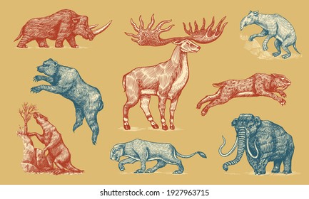 Mammoth Or Extinct Elephant, Woolly Rhinoceros Cave Bear Lion. Panthera Saber Toothed Tiger, Irish Elk Or Deer, Ground Sloth, Megatheriidae. Vintage Animal. Retro Mammals. Hand Drawn Engraved Sketch.