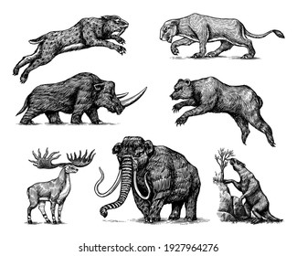 Mammoth Or Extinct Elephant, Woolly Rhinoceros Cave Bear Lion. Panthera Saber Toothed Tiger, Irish Elk Or Deer, Ground Sloth, Megatheriidae. Vintage Animal. Retro Mammals. Hand Drawn Engraved Sketch.