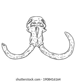 Mammoth fossilized skull with tusks hand drawn sketch image. Animal bones fossil image drawing. Vector stock silhouette