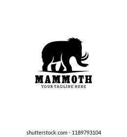 Mammoth Logo Design