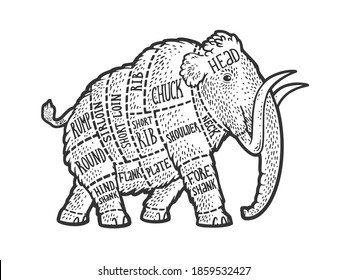 Mammoth meat scheme Cut of beef sketch engraving vector illustration. T-shirt apparel print design. Scratch board imitation. Black and white hand drawn image.