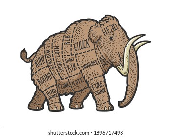 Mammoth meat scheme Cut of beef sketch color engraving vector illustration. T-shirt apparel print design. Scratch board imitation. Black and white hand drawn image.