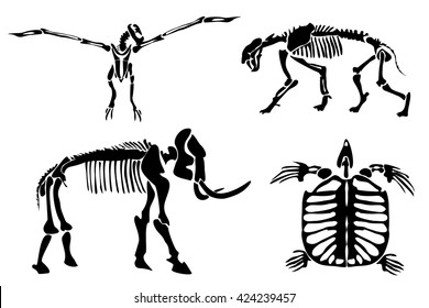 mammoth skeleton and prehistoric neck , turtle and Saber-toothed cat