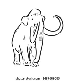 Mammoth sketch, contour vector illustration 