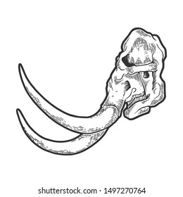 Mammoth skull skeleton bone sketch engraving vector illustration. Tee shirt apparel print design. Scratch board style imitation. Hand drawn image.
