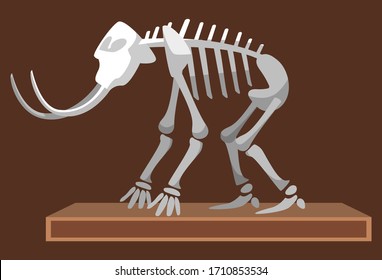 Mammoth with tusks vector, skeleton of mastodon, paleontology museum exhibition of creature remains. Education getting knowledge of past animals illustration in flat style design for web, print